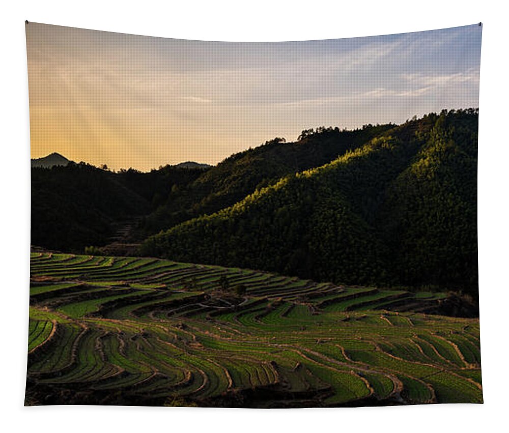 Morning Tapestry featuring the photograph Evening falls over the Terraces by William Dickman