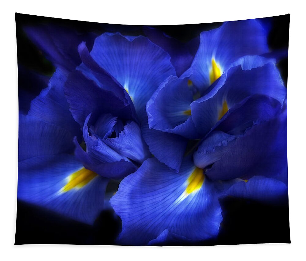 Iris Tapestry featuring the photograph Evening Iris by Jessica Jenney
