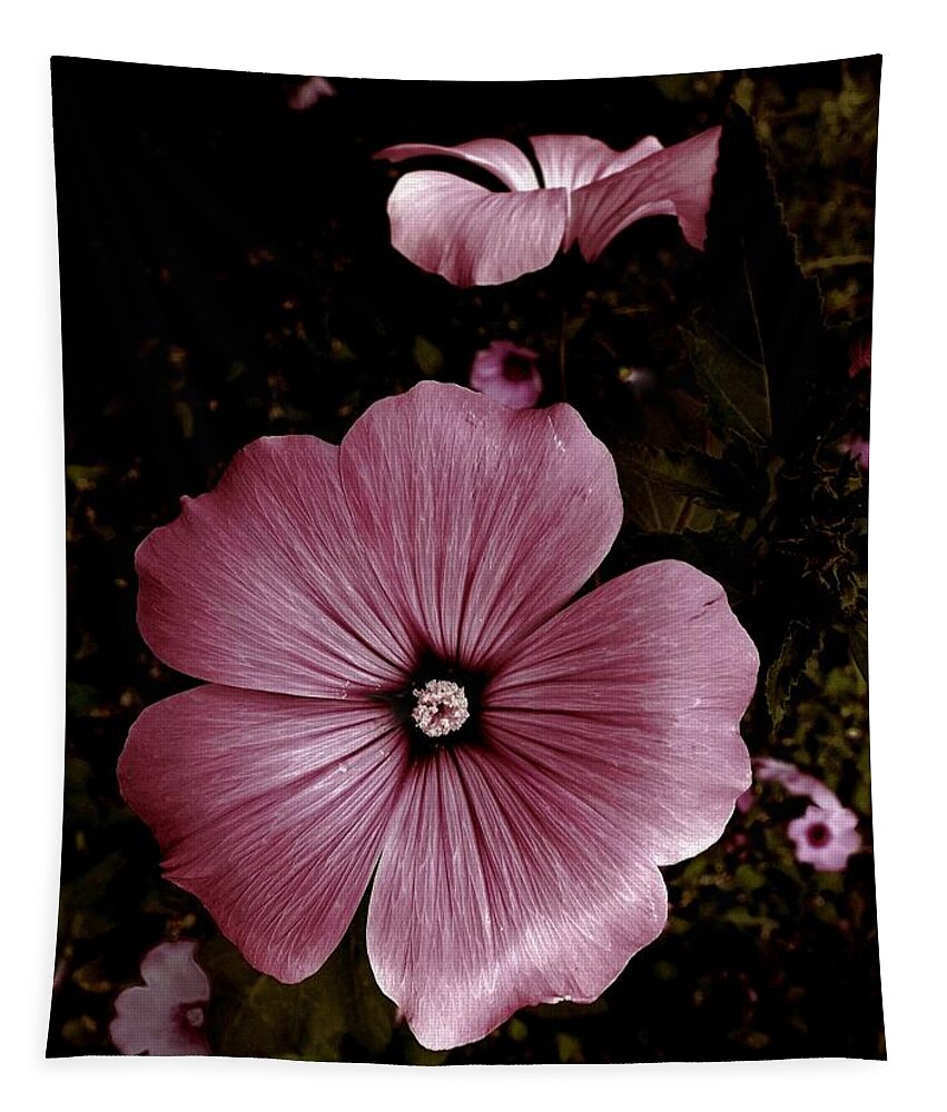 Flower Tapestry featuring the photograph Evening Rose Mallow by Danielle R T Haney