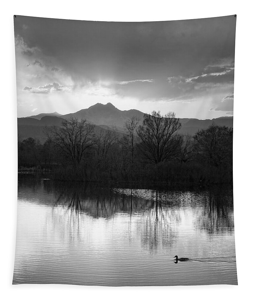 Colorado Tapestry featuring the photograph Evening Sky BW by James BO Insogna