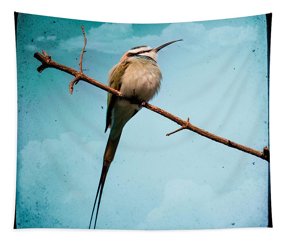 Bird Tapestry featuring the photograph Exotic birds - White throated bee eater by Gary Heller