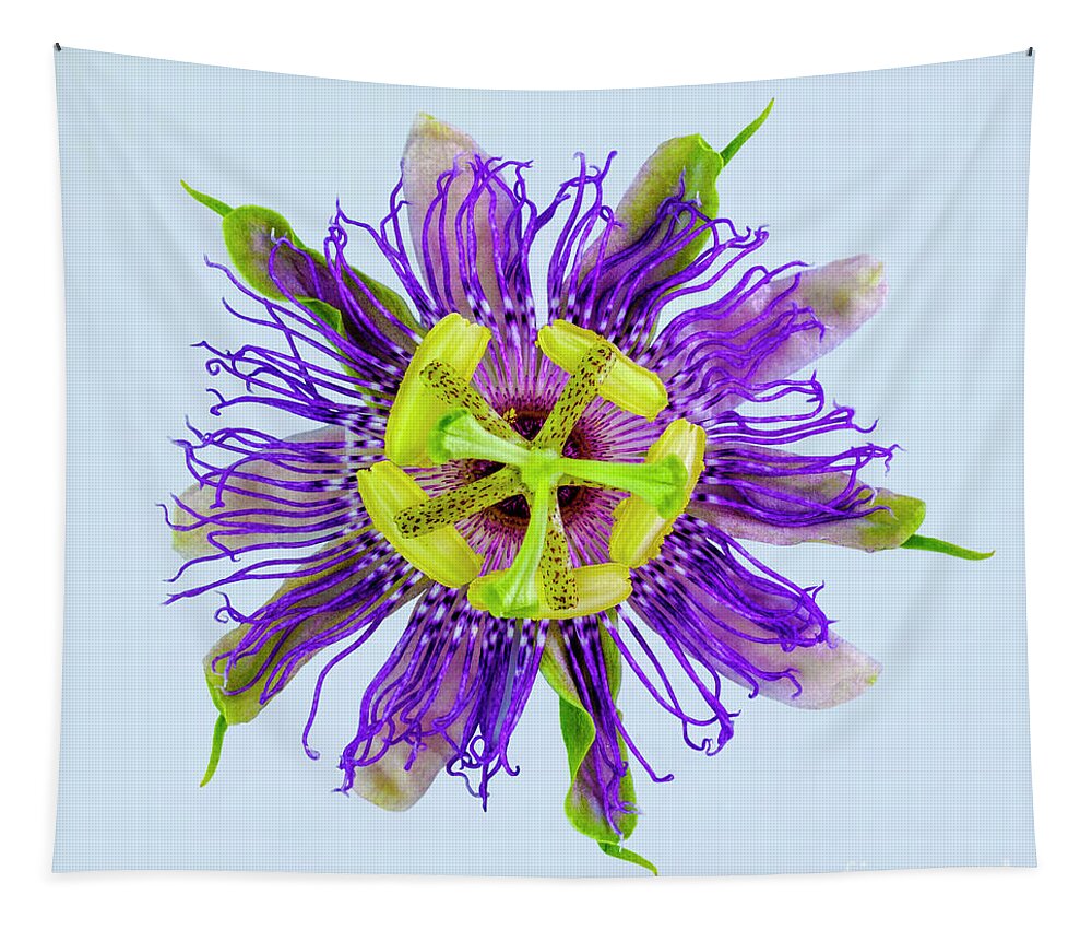 Expressive Tapestry featuring the photograph Expressive Yellow Green and Violet Passion Flower 50674B by Ricardos Creations
