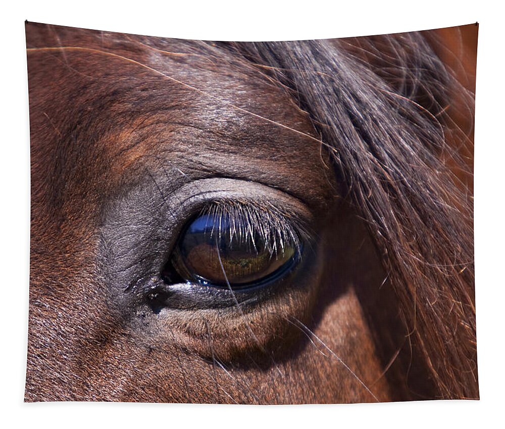 Horses Tapestry featuring the photograph Eye See You by Michelle Wrighton