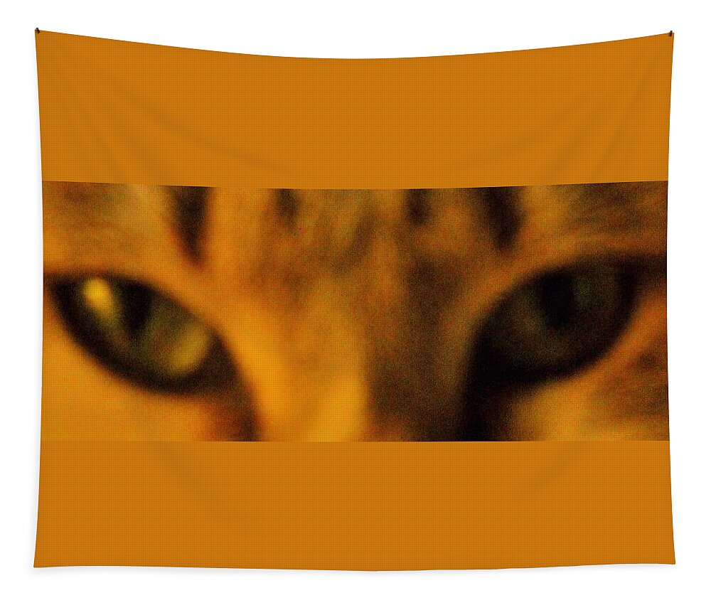 Eyes Tapestry featuring the photograph Eyes on You by Leslie Revels