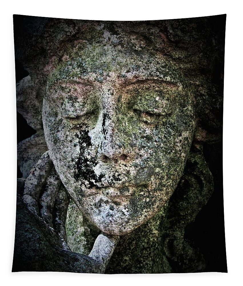 Angel Tapestry featuring the photograph Face of an Angel 11 by Maria Huntley