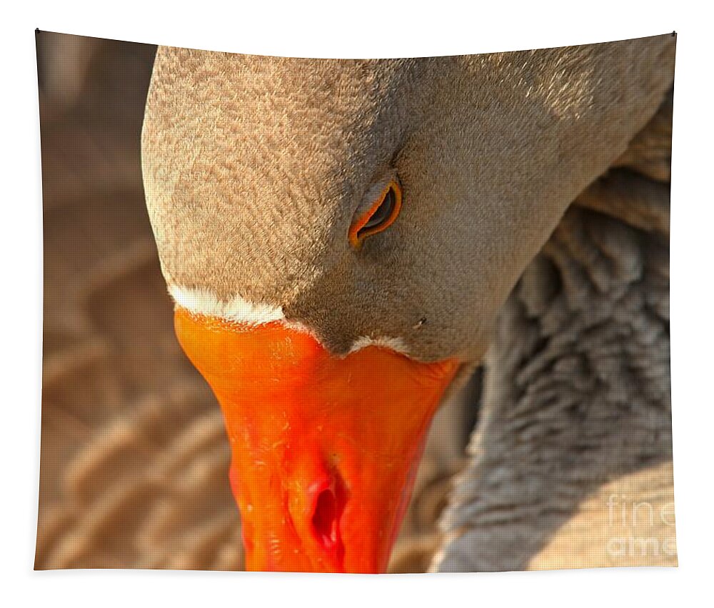 Toulouse Goose Tapestry featuring the photograph Face Of The Toulouse Goose by Adam Jewell