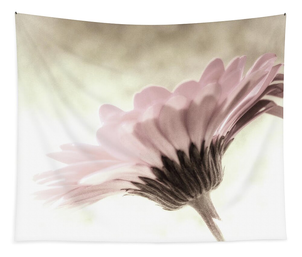 Colorful Tapestry featuring the photograph Fading Inspiration by Marnie Patchett