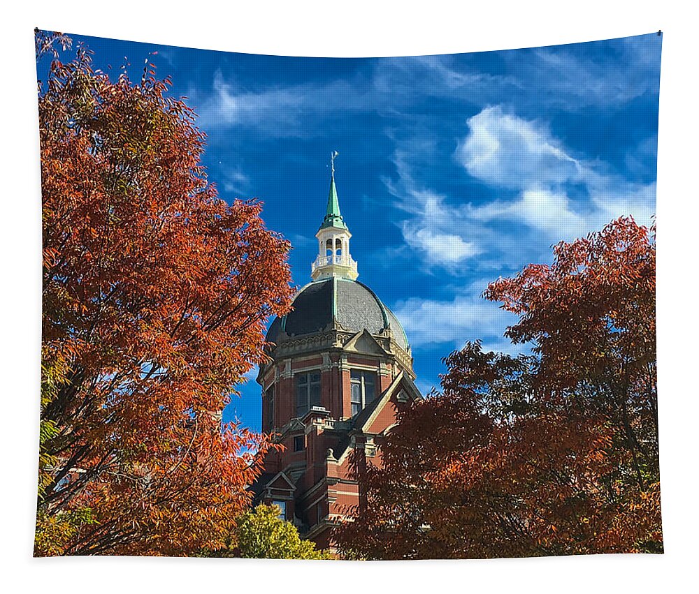 American Kiwi Photo Tapestry featuring the photograph Fall and the Dome by Mark Dodd