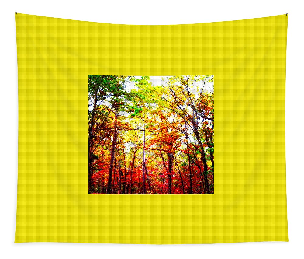 Fall Colors Tapestry featuring the photograph Fall Colors by Linda James