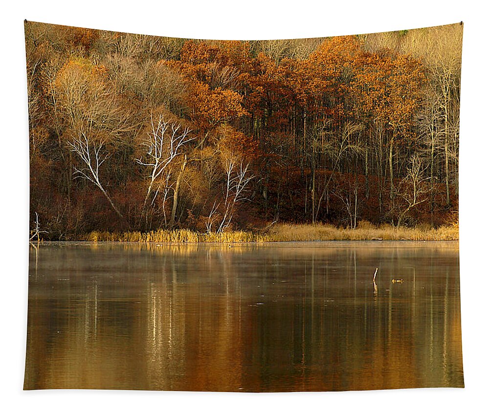 Lake Tapestry featuring the photograph Fall Cove by Thomas Young