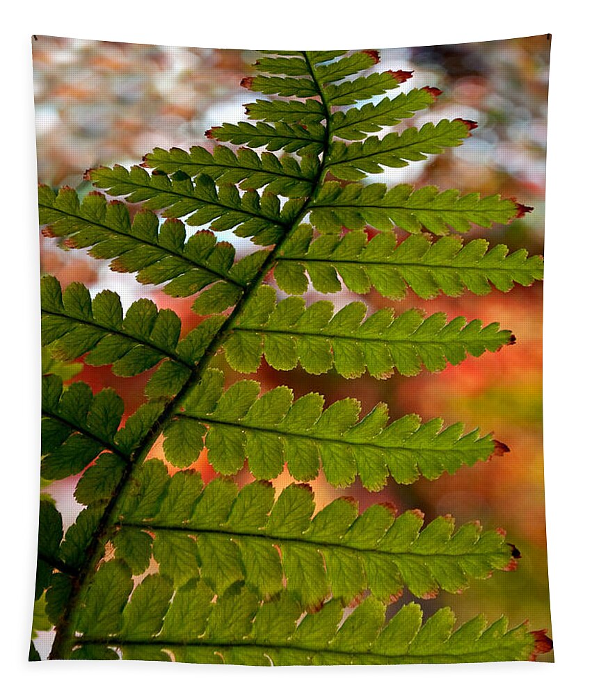 Fern Tapestry featuring the photograph Fall Fern by Gwyn Newcombe
