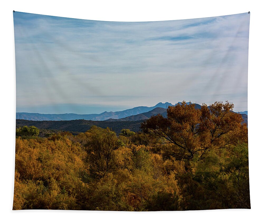 Fall Tapestry featuring the photograph Fall in the Desert by Douglas Killourie