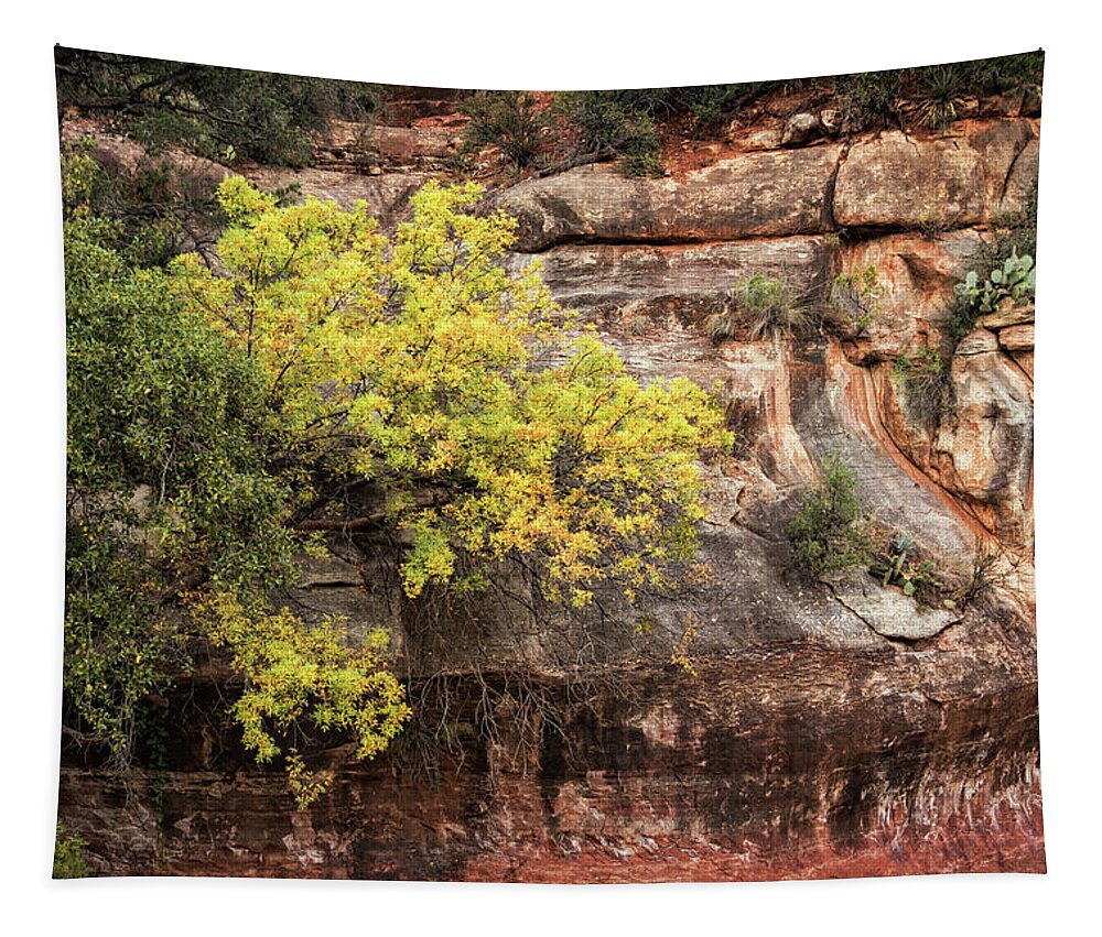 Arizona Tapestry featuring the photograph Fall In The Red Rocks by Saija Lehtonen