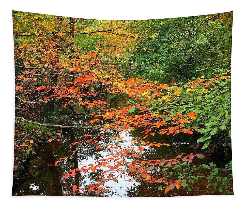Fall Leaves Tapestry featuring the photograph Fall is in the Air by Rafael Salazar