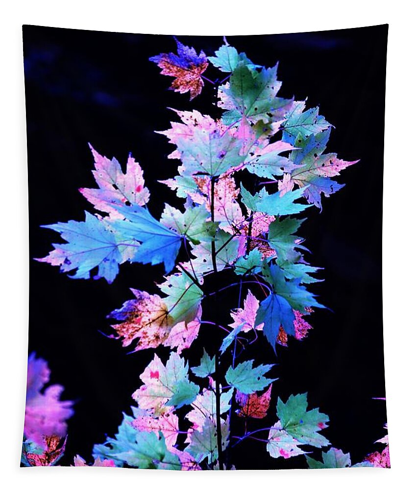 Autumn Tapestry featuring the photograph Fall Leaves1 by Merle Grenz