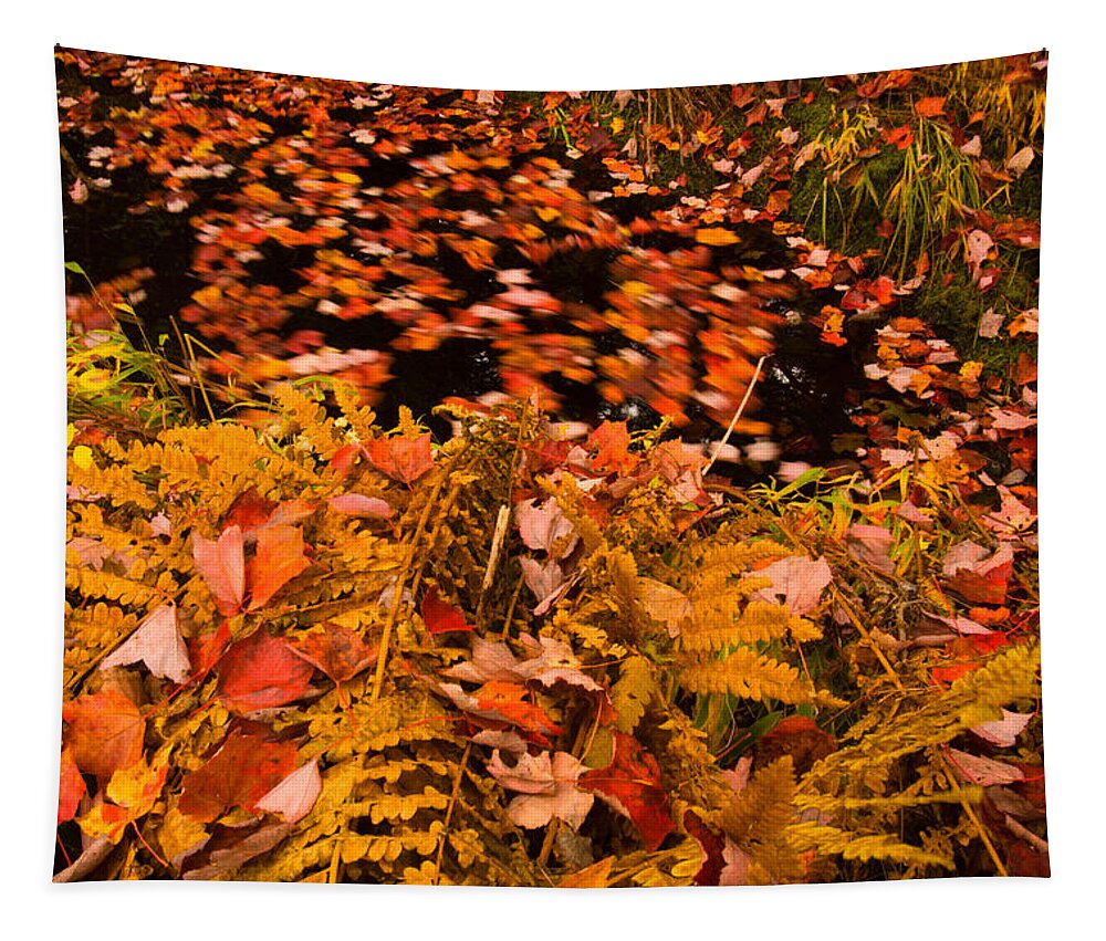 Kelly River Wilderness Tapestry featuring the photograph Fall Litter by Irwin Barrett