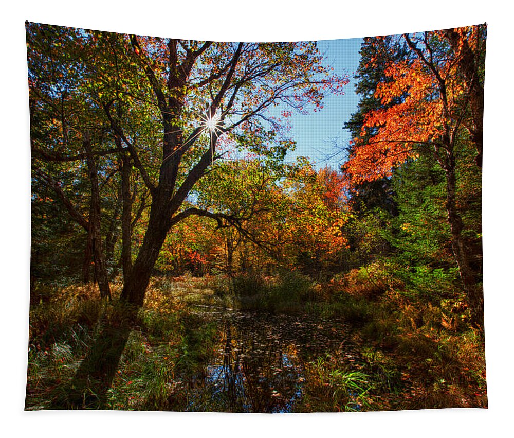 Kelly River Wilderness Tapestry featuring the photograph Fall Meadow And Sunburst by Irwin Barrett