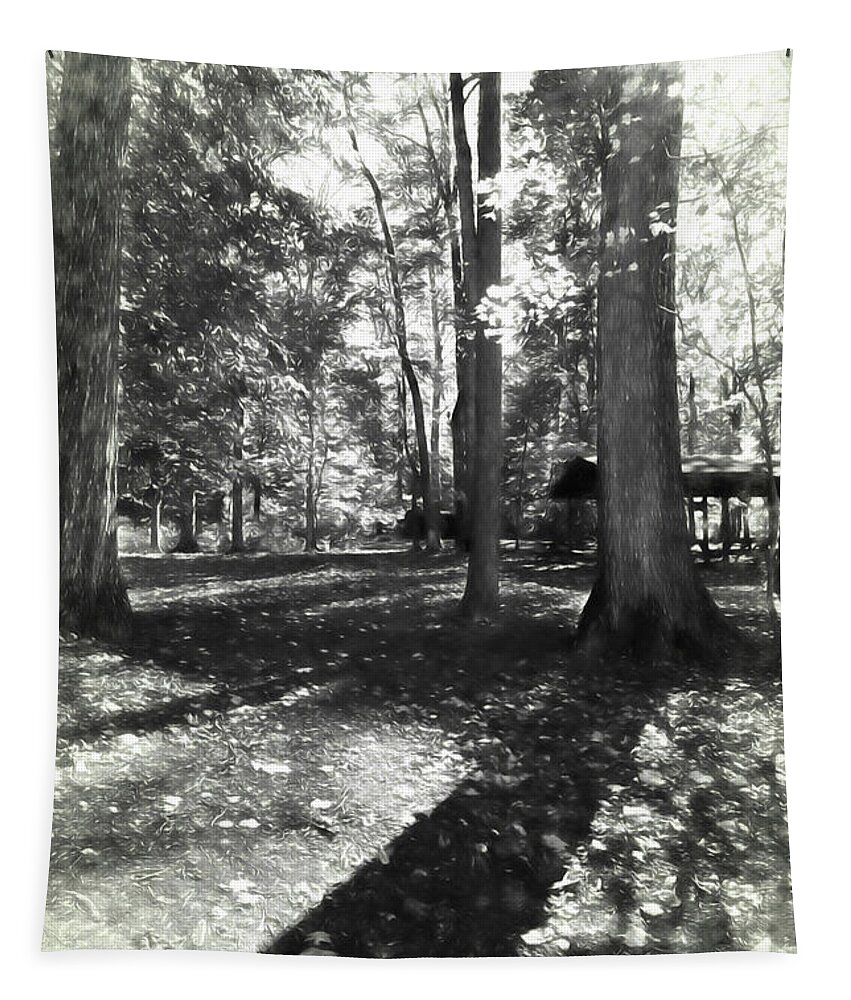 Fall Tapestry featuring the photograph Fall Picnic Bw Painted by Judy Wolinsky