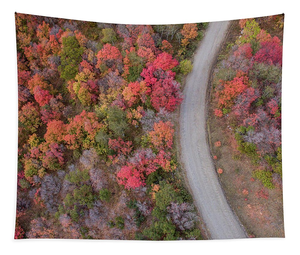 Fall Tapestry featuring the photograph Fall Road by Wesley Aston