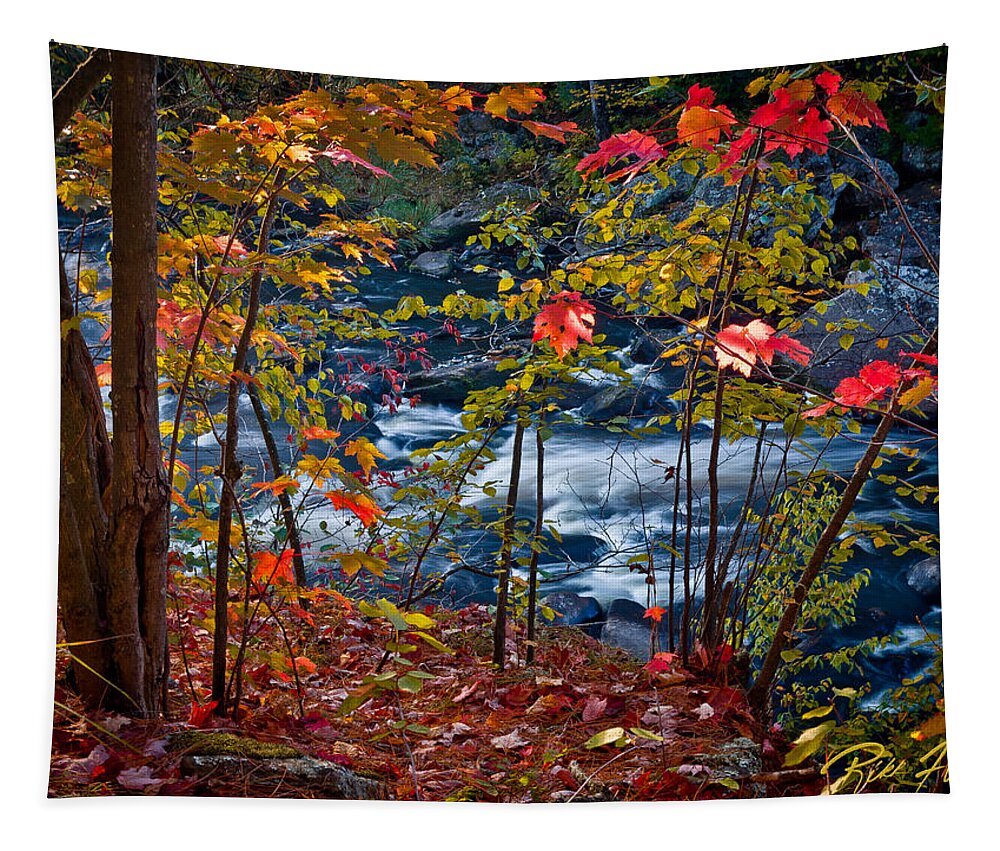 Autumn Tapestry featuring the photograph Fall - Streamside, by Rikk Flohr