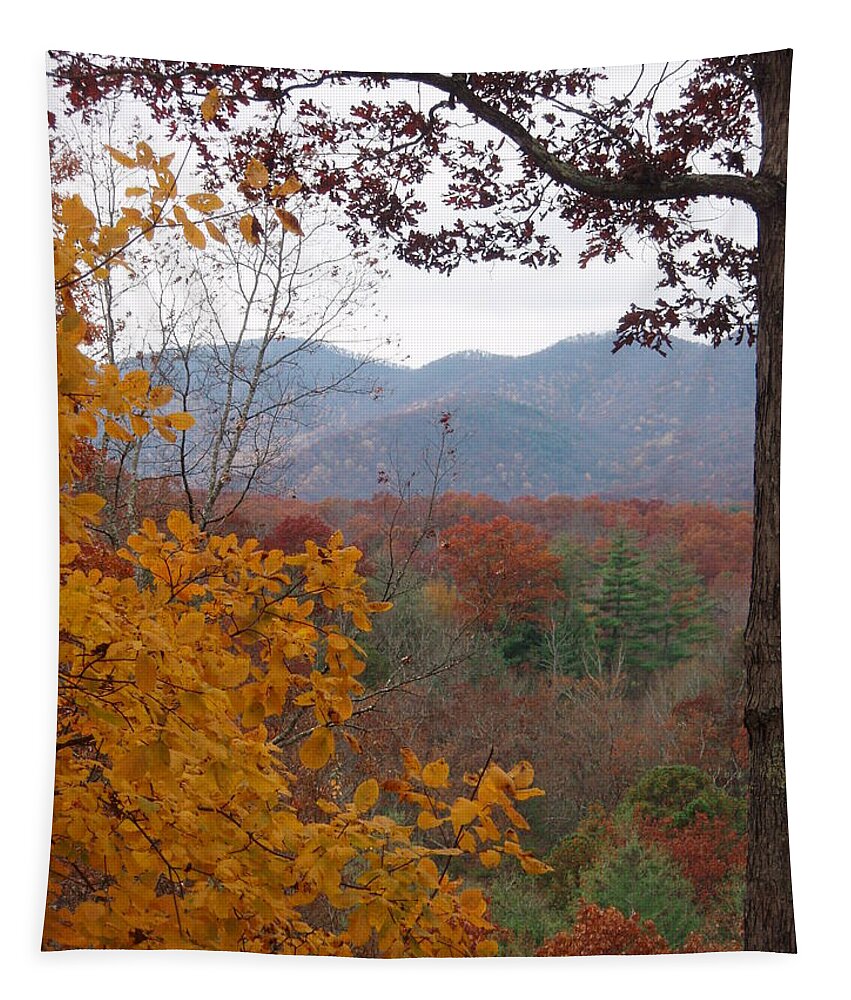 Autumn Tapestry featuring the photograph Fall Window by Allen Nice-Webb