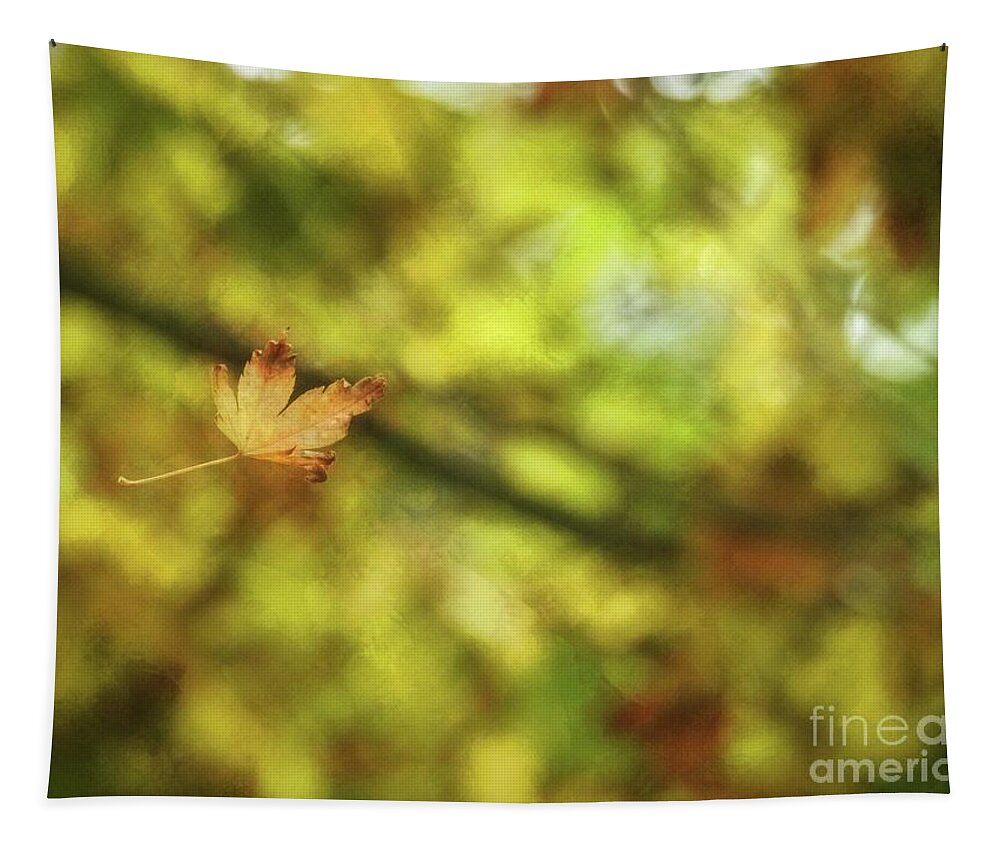 Deciduous Tapestry featuring the photograph Falling by Peggy Hughes