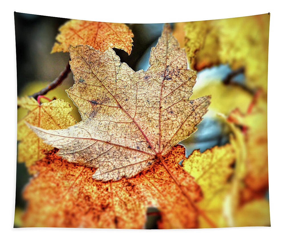 Leaf Tapestry featuring the photograph Falling Together by Kerri Farley