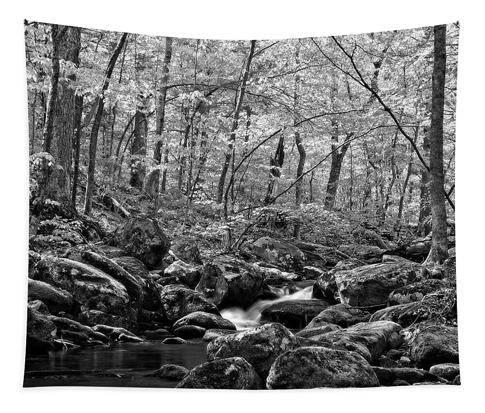 Waterfall Tapestry featuring the photograph Falls Brook Rush Black and White by Allan Van Gasbeck