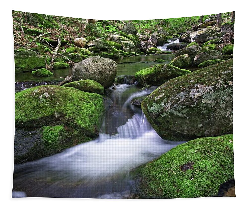 Waterfall Tapestry featuring the photograph Falls Brook Rushes by Allan Van Gasbeck