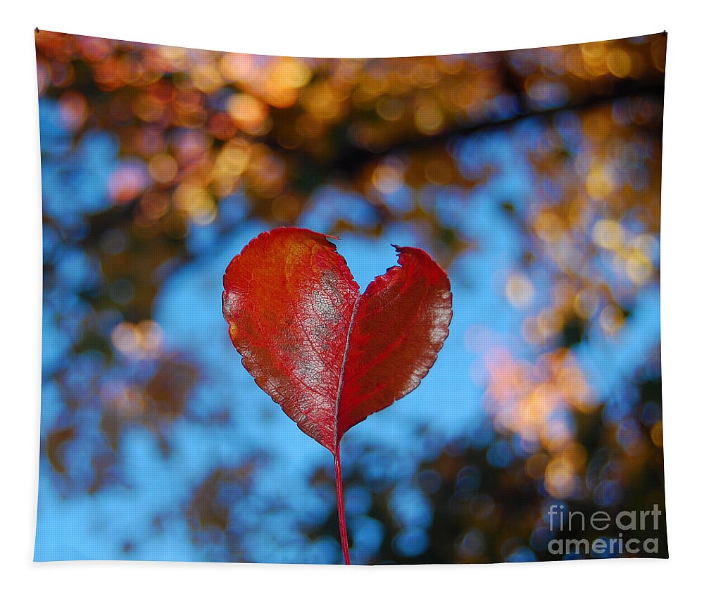 Heart Tapestry featuring the photograph Fall's Heart by Debra Thompson