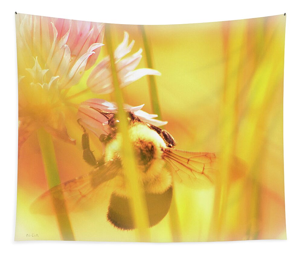 Bees Tapestry featuring the photograph Fame is a bee by Bob Orsillo