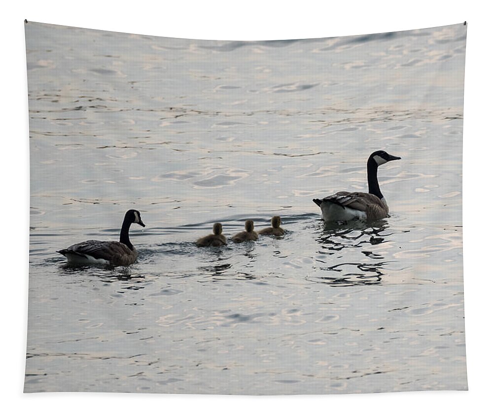 Goose Tapestry featuring the photograph Family of Canada Geese on the Ohio River by Holden The Moment