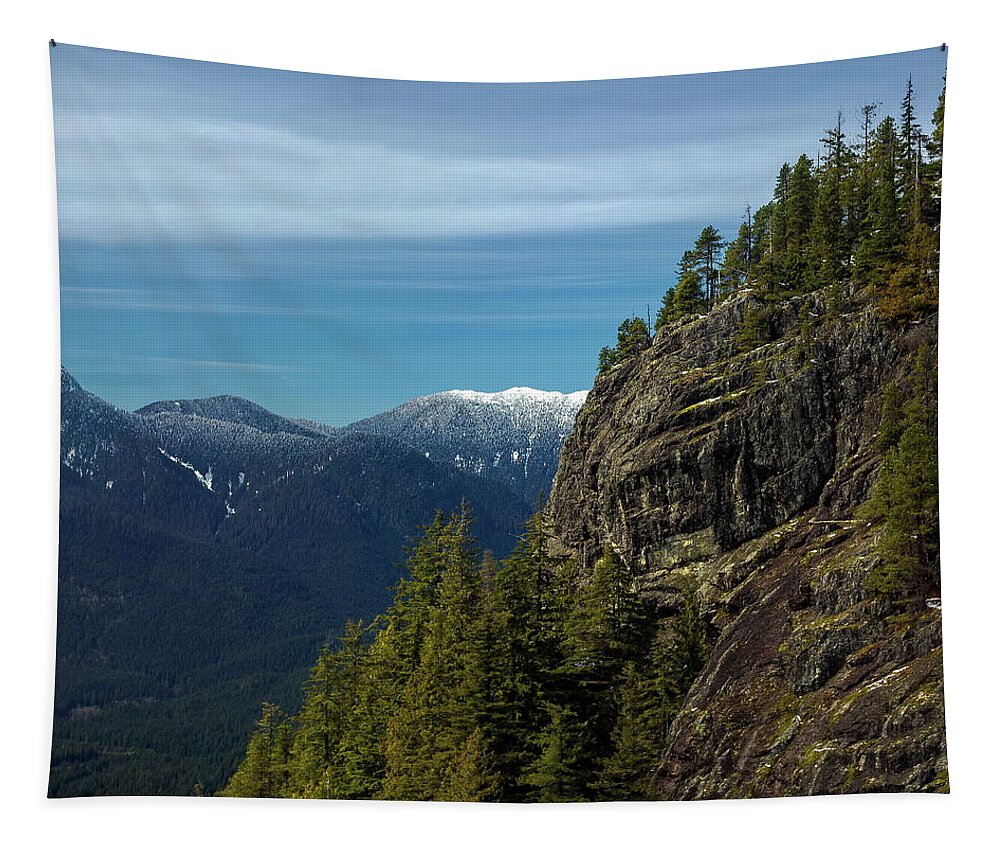 Alex Lyubar Tapestry featuring the photograph Fantastic View from Grouse Mountain by Alex Lyubar