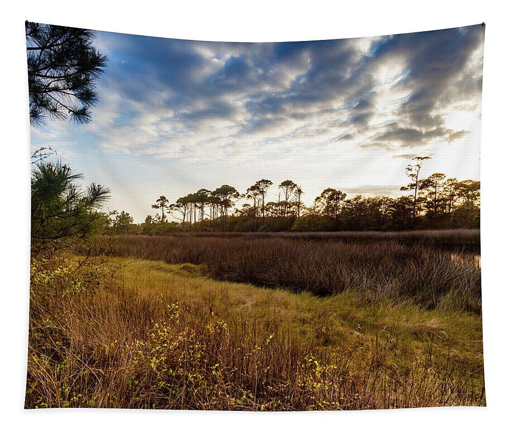 Gulf Of Mexico Tapestry featuring the photograph Far Away by Raul Rodriguez