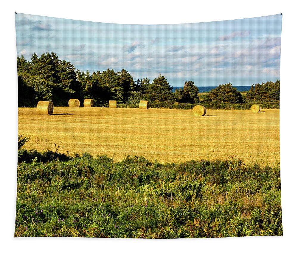 Field Tapestry featuring the photograph Farm and Forest Meet the Ocean on Prince Edward Island by Douglas Wielfaert