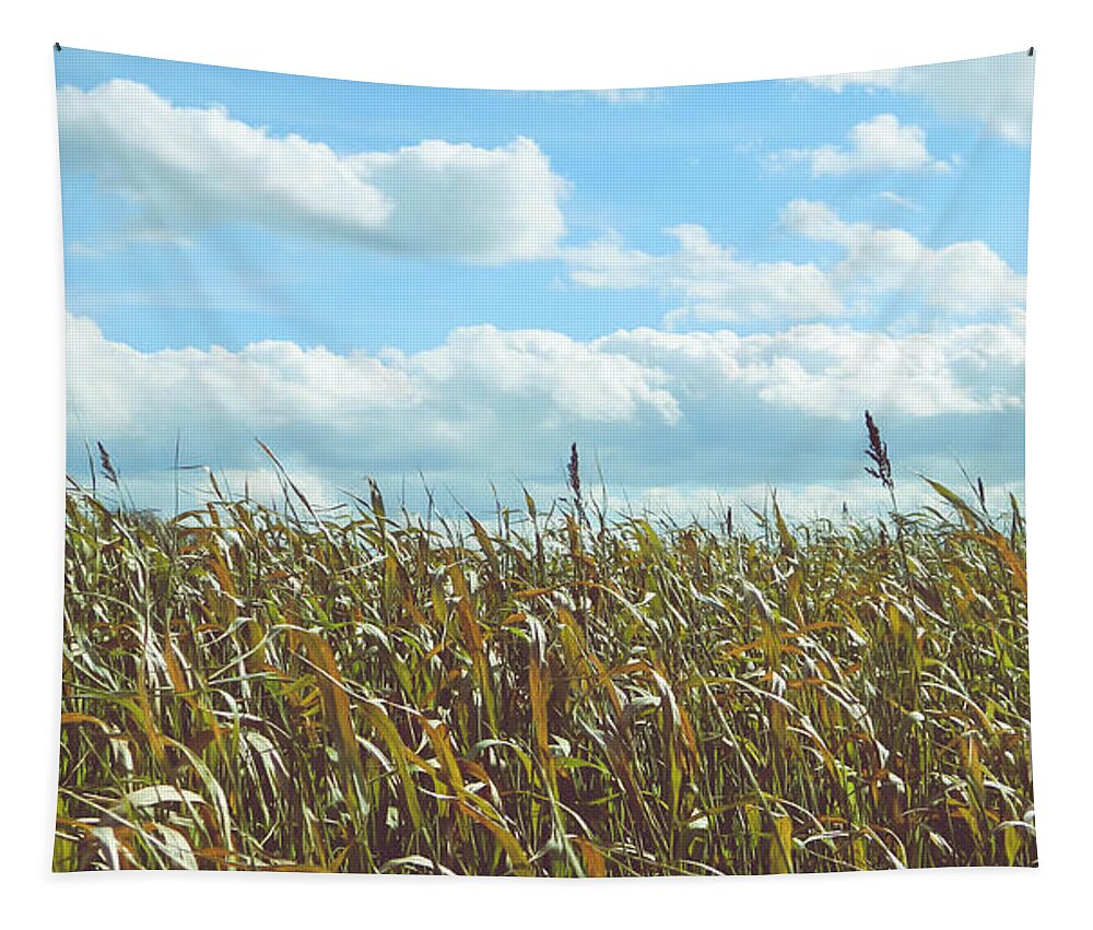 Healthy Tapestry featuring the photograph Farm by Andrea Anderegg
