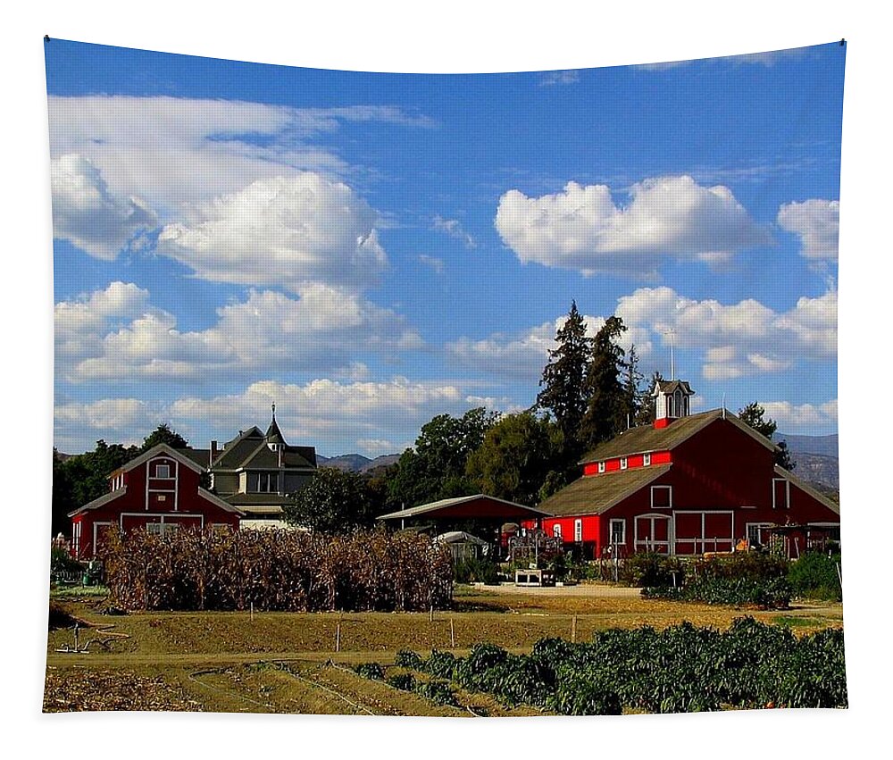 Farm Tapestry featuring the photograph Farm House by Scott Brown