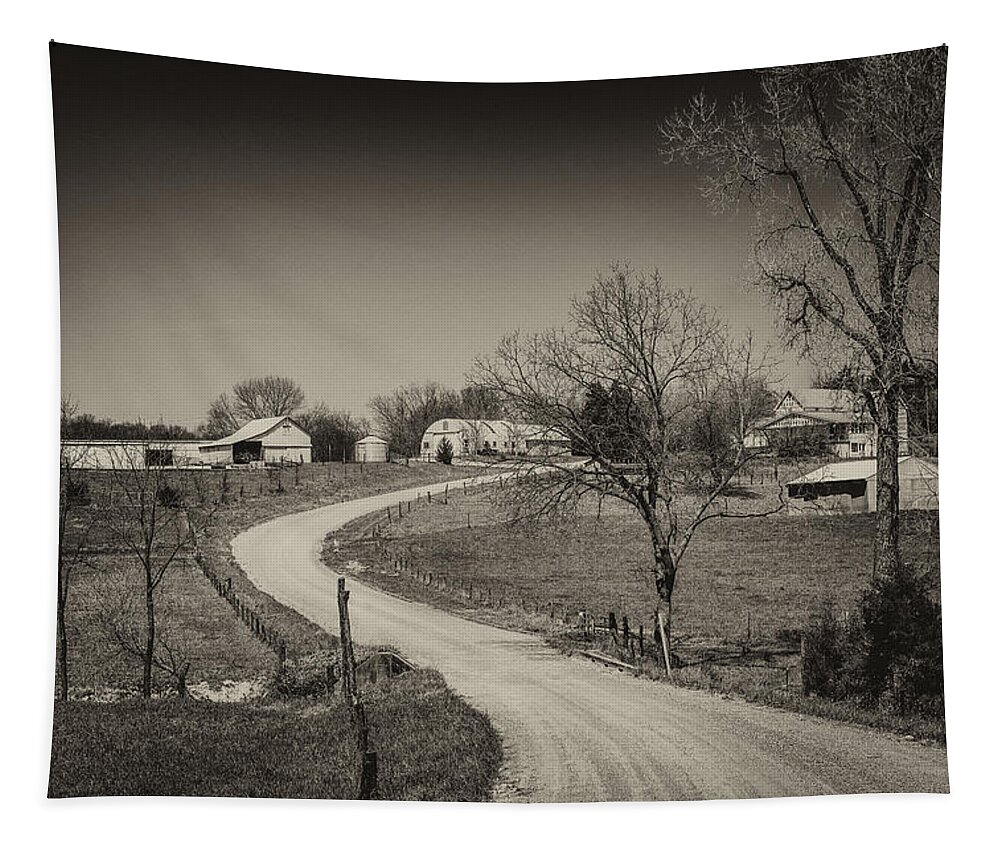 Farm Tapestry featuring the photograph Farm in Gasconade County MO monotone_DSC4116 by Greg Kluempers