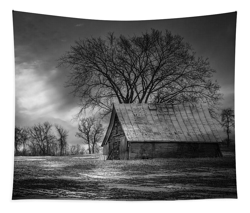 Farm Shed Tapestry featuring the photograph Farm Shed 2016-2 by Thomas Young