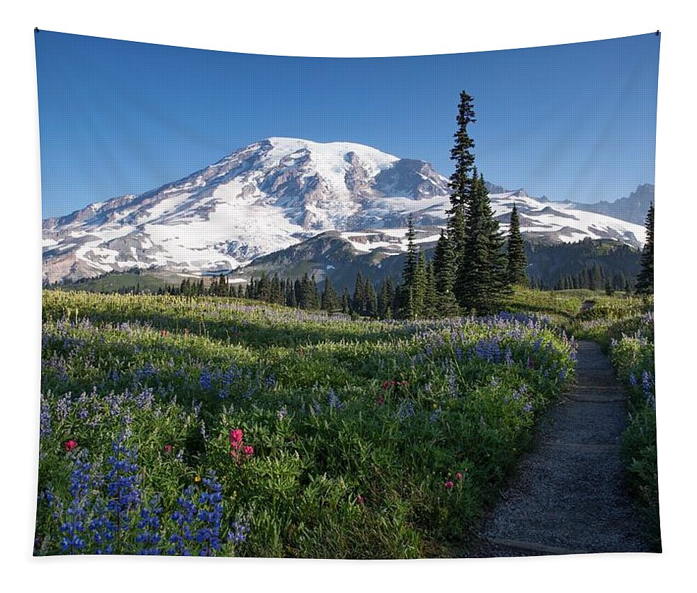 Favorite Time Of Year Tapestry featuring the photograph Favorite time of year by Lynn Hopwood