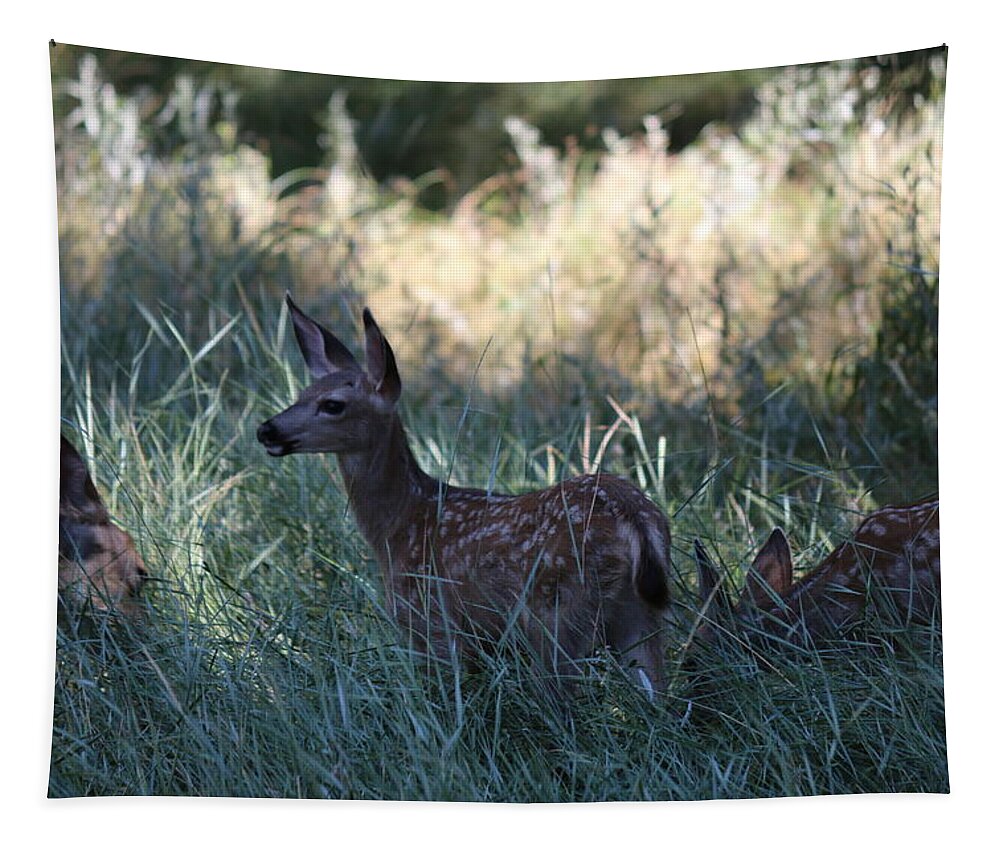 Fawn Tapestry featuring the photograph Fawn in the Grass by Christy Pooschke