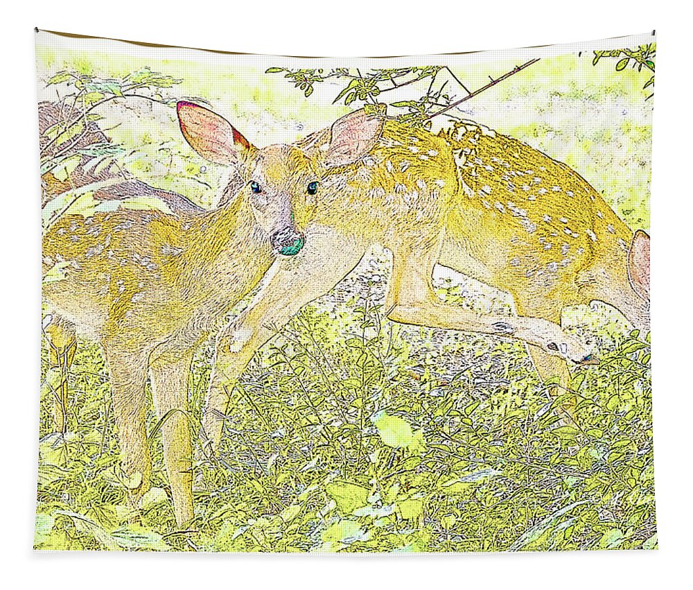 Omnivore Tapestry featuring the photograph Fawn Twins Digital Painting by A Macarthur Gurmankin