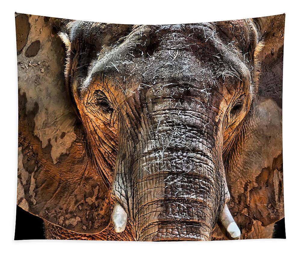 Elephant Tapestry featuring the photograph Fearless by Janet Fikar