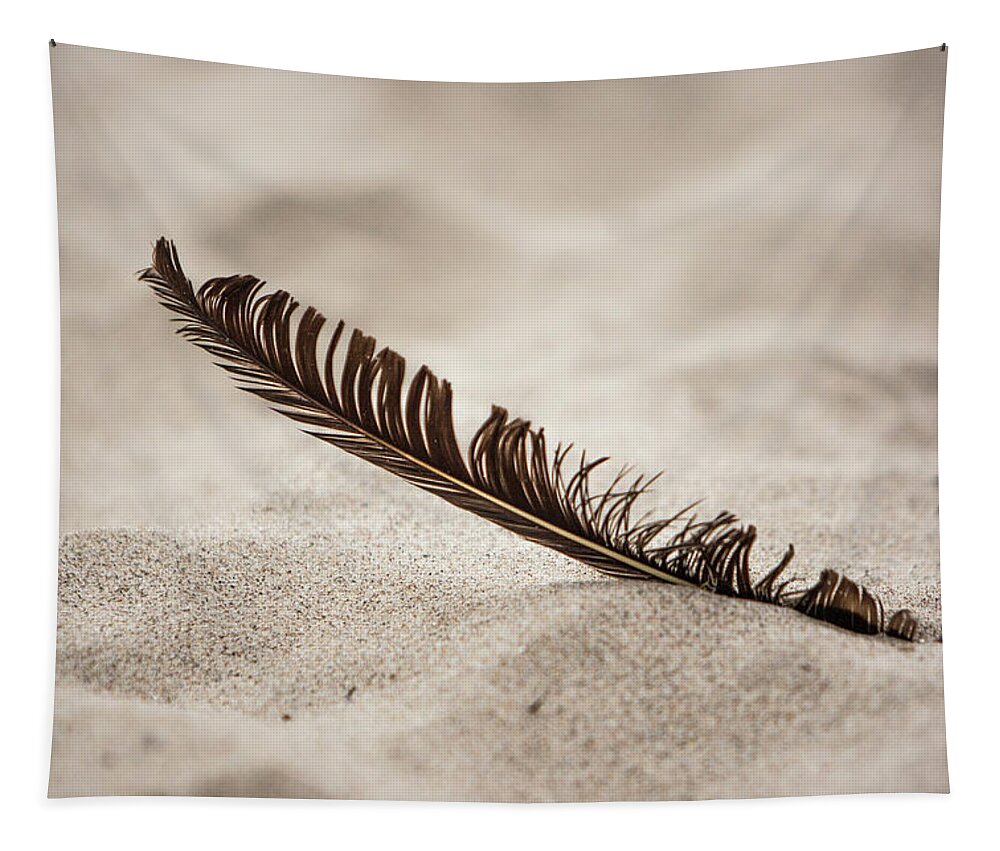 Feather Tapestry featuring the photograph Feather in the sand by Jason Hughes
