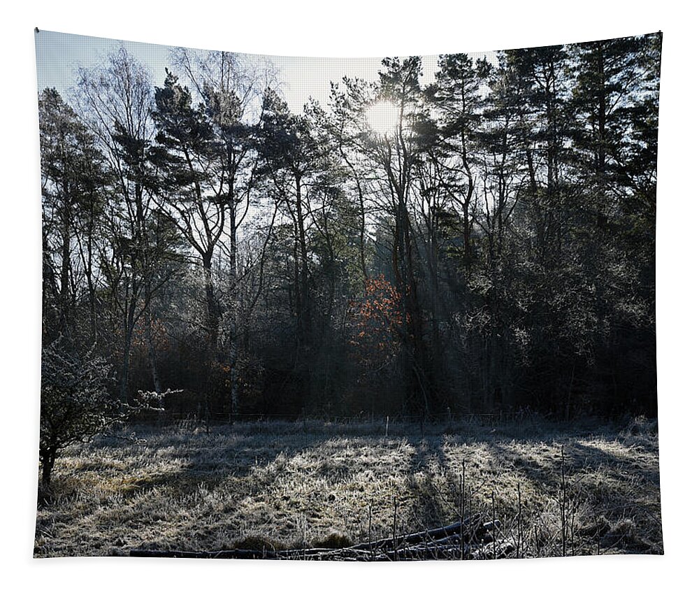 Sweden Tapestry featuring the pyrography February morning by Magnus Haellquist