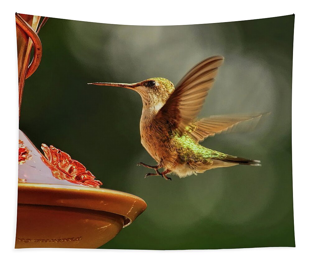 Wildlife Tapestry featuring the photograph Female Hummingbird Touch Down by Dale Kauzlaric