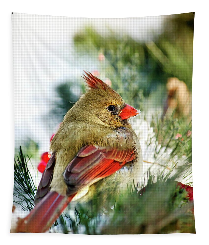 Cardinal Tapestry featuring the photograph Female Northern Cardinal by Christina Rollo