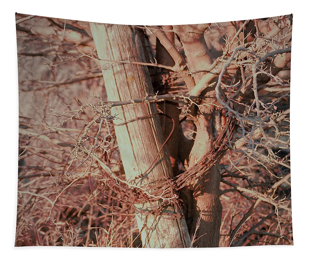 Fence Tapestry featuring the photograph Fence Post Buddy by Troy Stapek