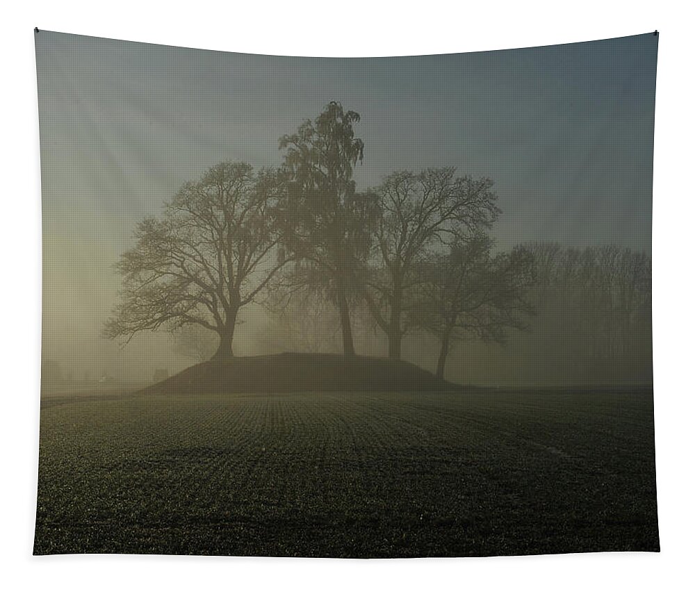 Fiddler's Tapestry featuring the photograph Fiddler's Mound by Randi Grace Nilsberg