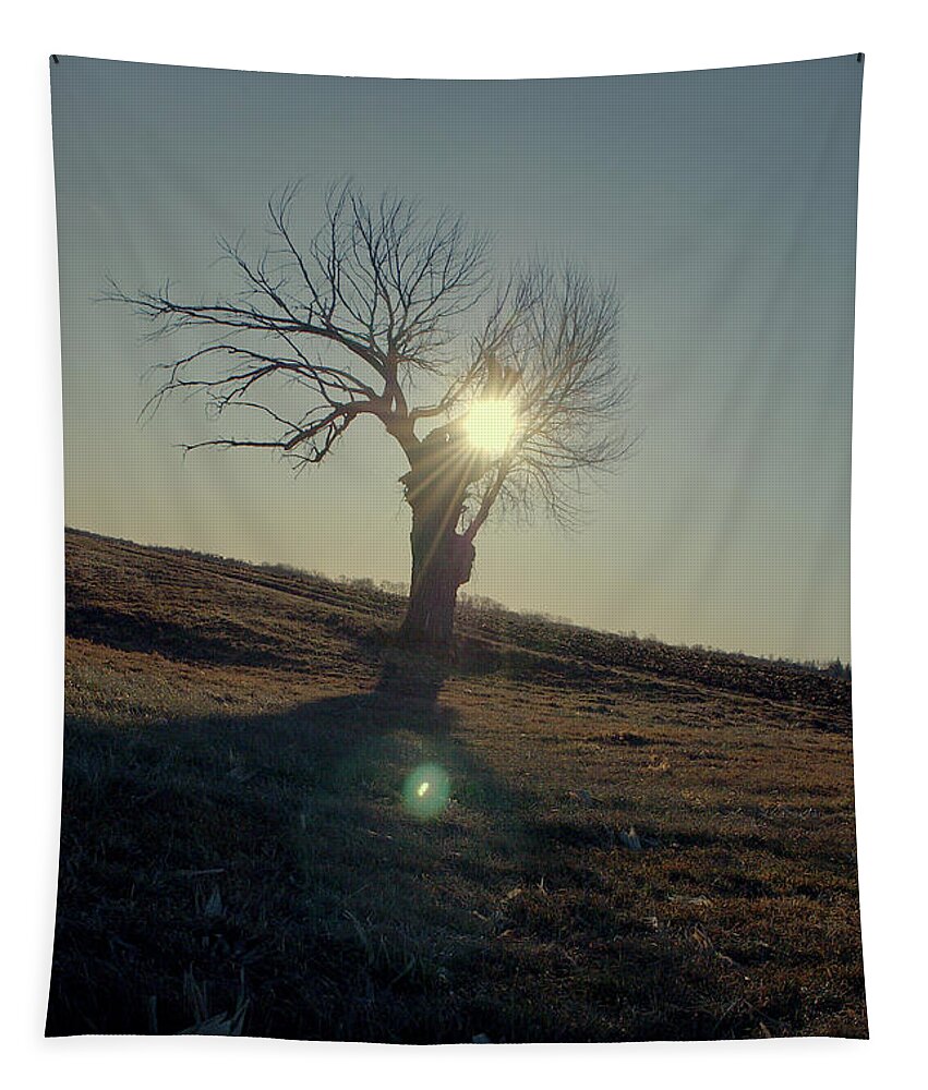 Tree Tapestry featuring the photograph Field and Tree by Troy Stapek